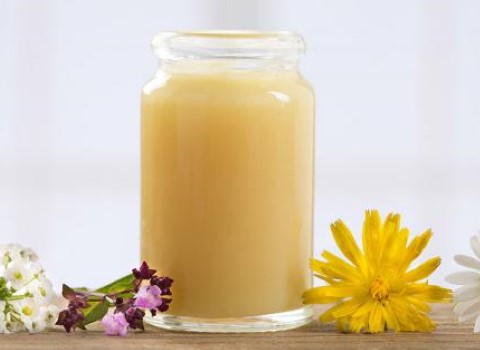 تصویر 3 از خرید ژل رویال اصل + قیمت فروش استثنایی